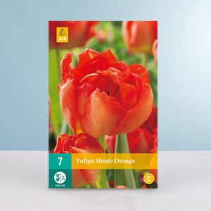 Gefüllte frühe Tulpe 'Monte Orange' - 7 Zwiebeln