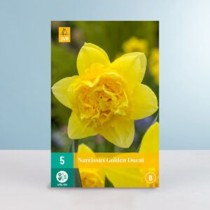 Gefüllte Narzisse 'Golden Ducat' - 5 Zwiebeln