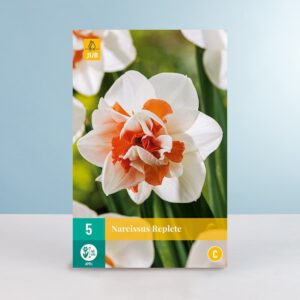 Gefüllte Narzisse 'Replete' - 5 Zwiebeln