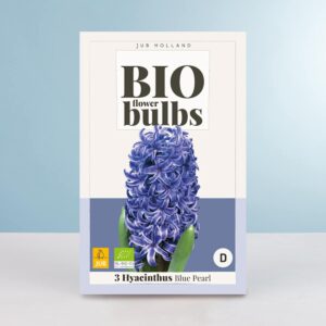 BIO Hyazinthe 'Blue Pearl' - 3 Zwiebeln