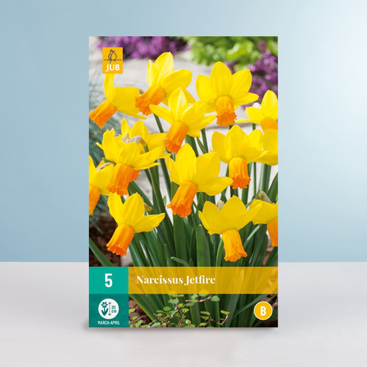 Mini-Narzisse 'Jetfire' - 5 Zwiebeln