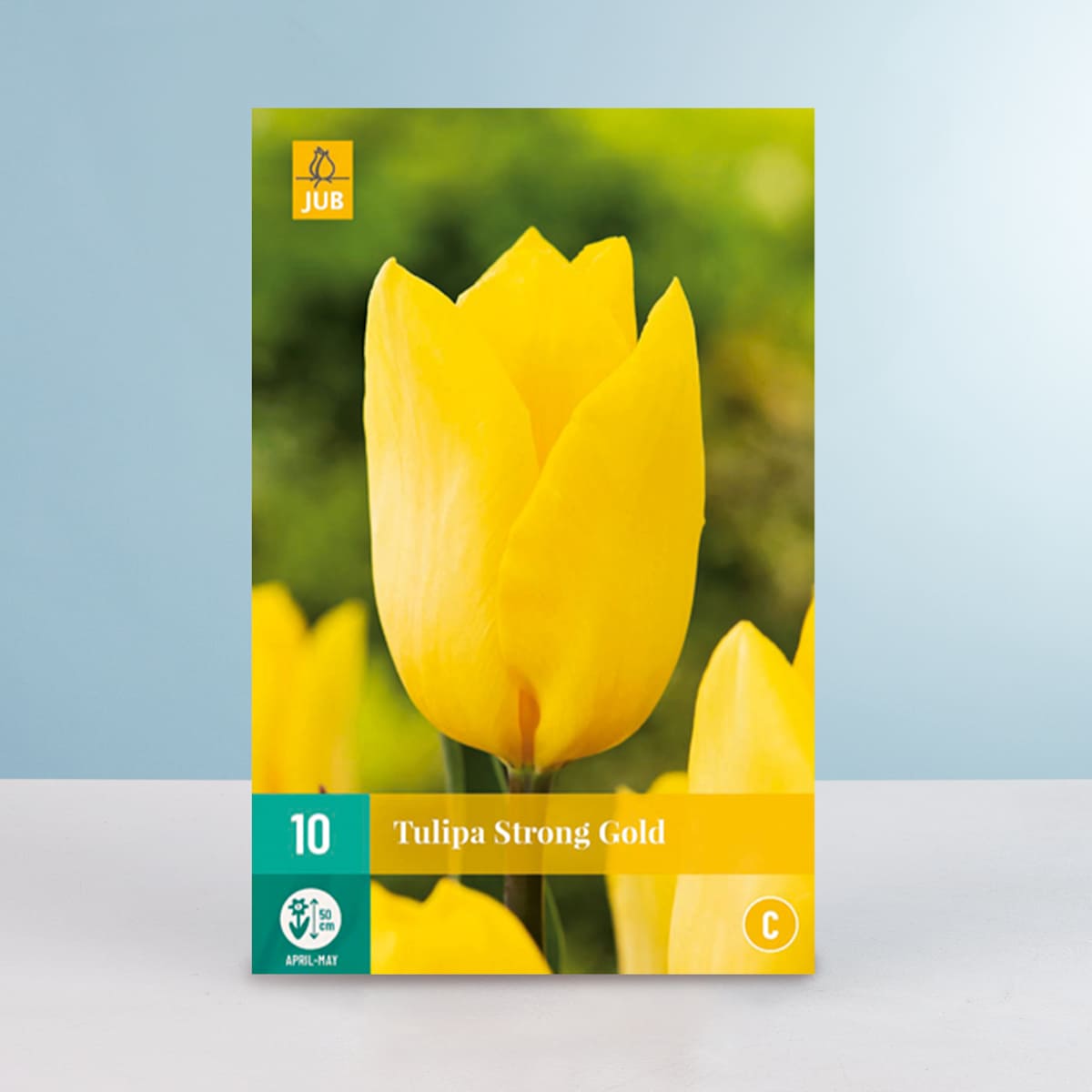 Triumph Tulpe 'Strong Gold' - 10 Zwiebeln