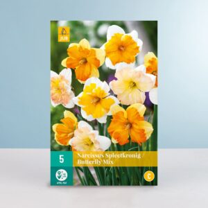 Schmetterling Narzissen Mix 'Butterfly' - 5 Zwiebeln