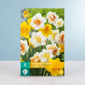 Gefüllte Narzissen 'Double' Mix - 5 Zwiebeln