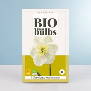 BIO Narzisse 'Papillon Blanc' - 5 Zwiebeln
