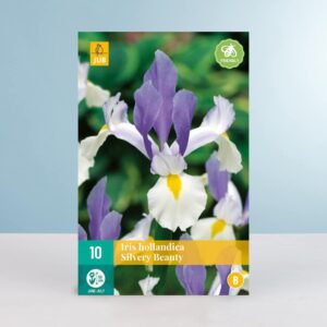 Holländische Schwertlilie 'Silver Beauty' - 10 Zwiebeln