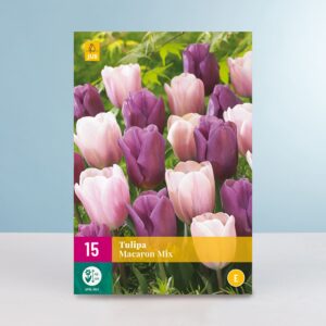 Tulpen 'Macaron' Mix - 15 Zwiebeln