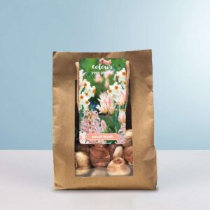 Tulpen & Hyazinthen & Narzissen 'Peach Blush' Mix - 10 Zwiebeln