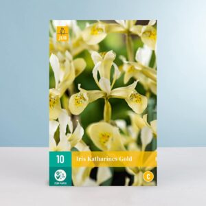 Schwertlilie 'Katharines Gold' - 10 Zwiebeln