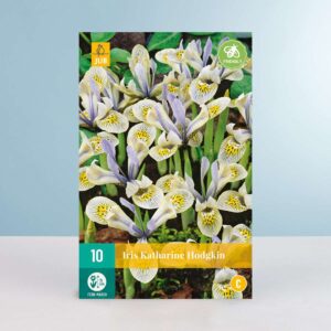 Schwertlilie 'Katharine Hodgkin' - 10 Zwiebeln