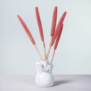 Trockenblumenbund Babala Pink