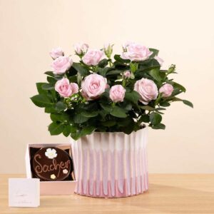 Rosy Pastel mit Blumen-Sachertorte 200g