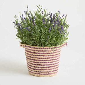 Seegras Korb Rosa gestreift