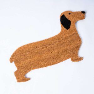 Kokos Türmatte Hund