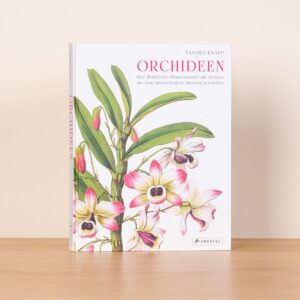 Orchideen - Buch, gebunden