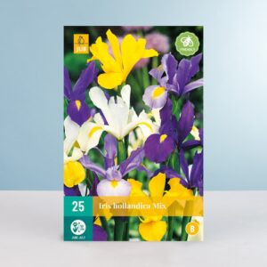 Holländische Schwertlilien Mix - 25 Zwiebeln