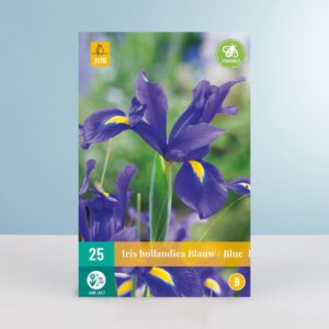 Netzblatt-Schwertlilie Blau - 25 Zwiebeln