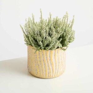 Metall Übertopf Goldfarben - 18 cm