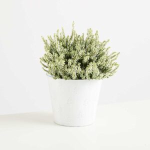 Zink Gefäß Weiß - 20 cm