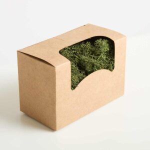 Deko Islandmoos Grün