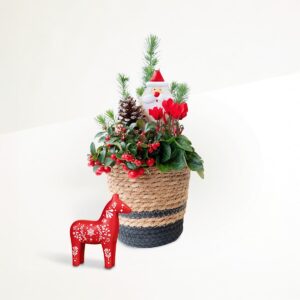 Dear Santa mit Dekopferd Rot