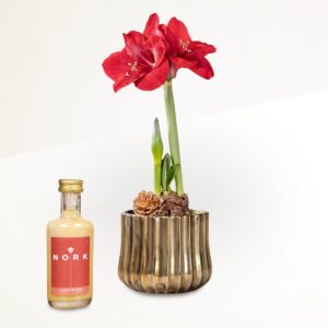 Goldschimmer mit Lebkuchen-Eierlikör 0,05l