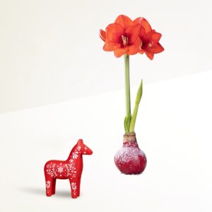 Winterbote mit Dekopferd Rot