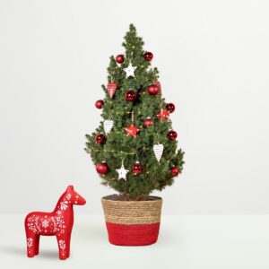 Weihnachtsabend mit Dekopferd Rot