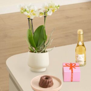 Traumhafter Geburtstag