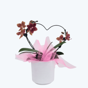 Table Dance Herzform in versch. Farben mit Vlies und Keramik