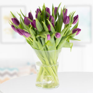 20 Lila Tulpen