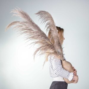 Mähnenschilfgras 3 Stiele