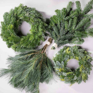 Tannenkränze mit Nordmanntanne und Seidenkiefer