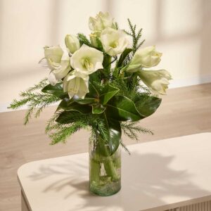 Weiße Amaryllis - 3 Stiele