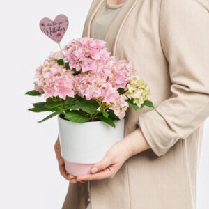 Much Love for Mother's Day