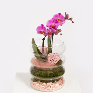 Blooming Mother's Day