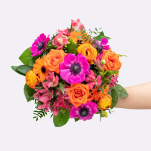 Erste Sonnenstrahlen