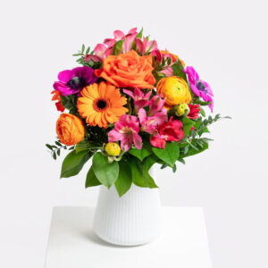 Erste Sonnenstrahlen