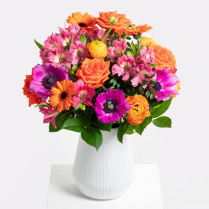 Erste Sonnenstrahlen