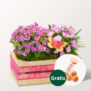 Herzliche Grüße im Holzkasten