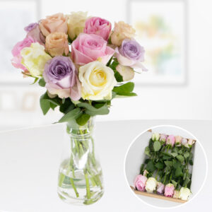Rosenbox 12 Frische Rosen Pastell-Mix