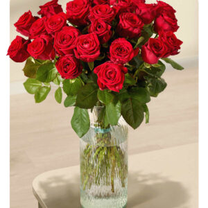 Rote Premium-Rosen - 25 Stiele