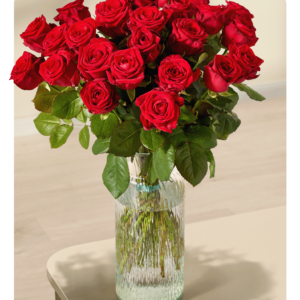 Rote Premium-Rosen - 25 Stiele