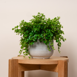Übertopf Keramik Sand Graublau - 14 cm