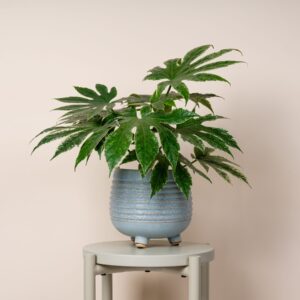 Übertopf Keramik Blau - 14 cm