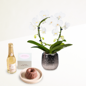 Snow White mit Geburtstagsküchlein und Sekt