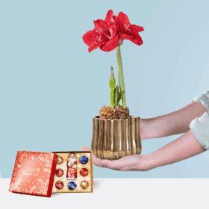 Goldschimmer mit Lindt Mix Frohes Fest