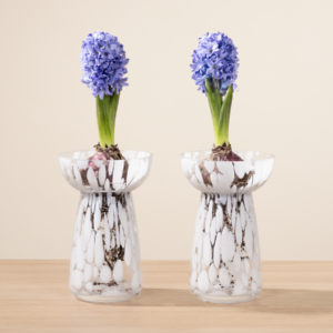 Mini DIY Hyazinthen Spring Vibes