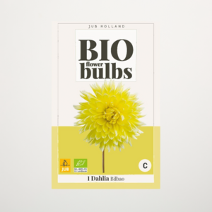 BIO Dahlie 'Bilbao' -Knolle