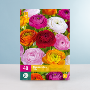 Ranunkel Mix - 40 Knollen